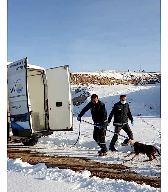 Köpek Yakalama Aleti 150 cm