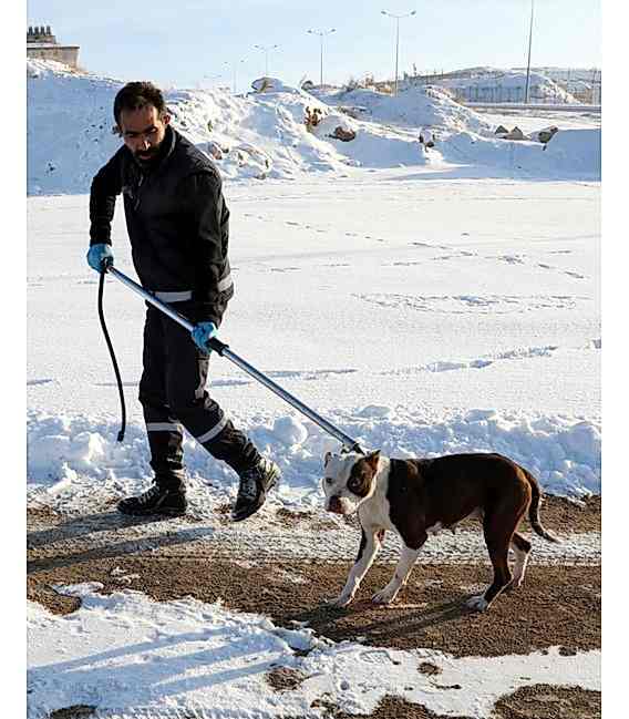 Köpek Yakalama Aleti 120 cm