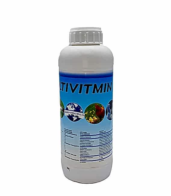 Multivitmin Hayvan Vitamin Desteği 1 Lt